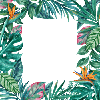 Botanical tropical leaves frame watercolor png
