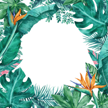 Botanical tropical leaves frame watercolor png