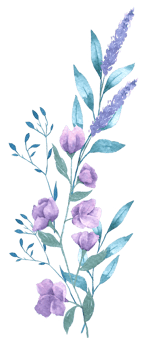 Wildflower wreath and bouquet watercolor png