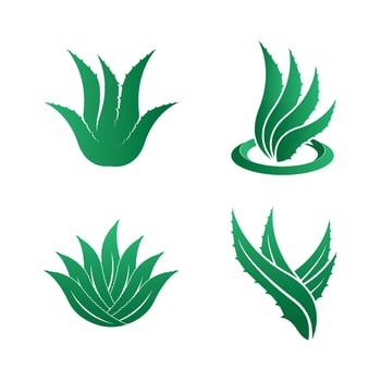 Aloe Vera logo icon design symbol beauty vector
