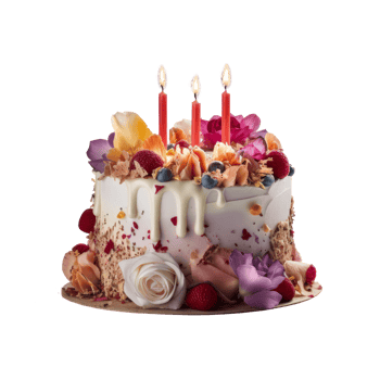 Birthday cake cutout png