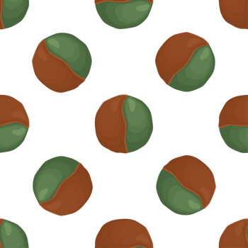 Pattern homemade cookie different taste in pastry biscuit png