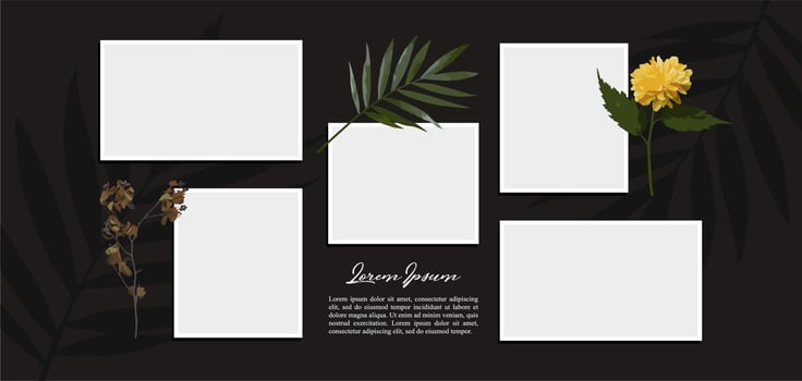 Pictures or photos frame collage. comics page grid layout abstract photo frames and digital photo wall template vector