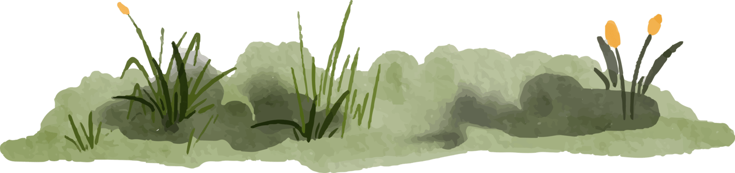 an isolated watercolor illustration of grass png