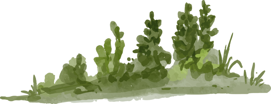 an isolated watercolor illustration of grass png