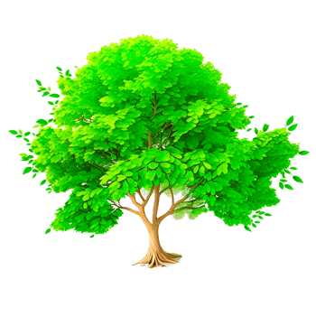 mulberry trees PNG transparent