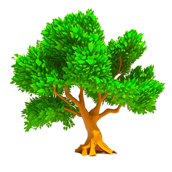 a tree with green leaves png