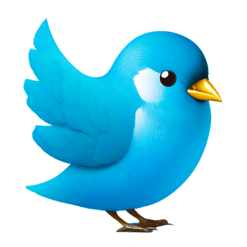 blue cartoon bird icon png