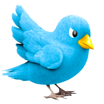 birds free animal icon png