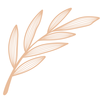 Line Art Leaf png