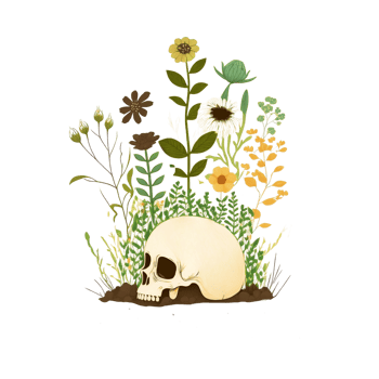 Skull with Plants and Flowers for Sticker, PNG Illustration.