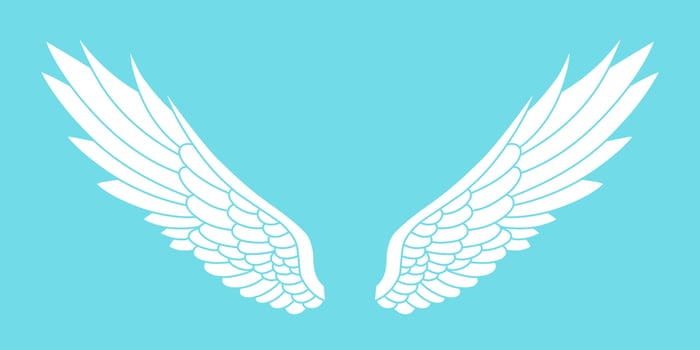 Vector logo icon white angel wings