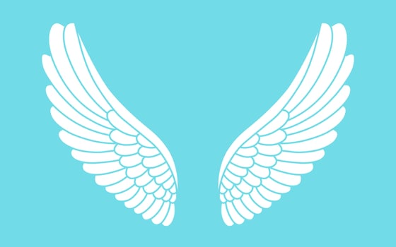 Vector logo icon white angel wings