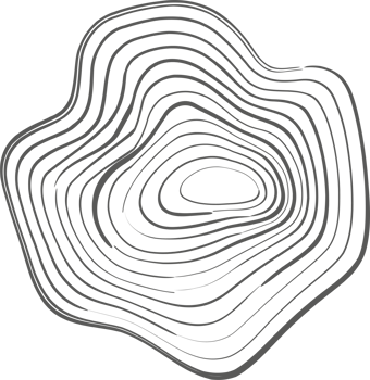 Tree rings organic pattern. Topography line circle. Nature wavy contour shape. Topographic icon png