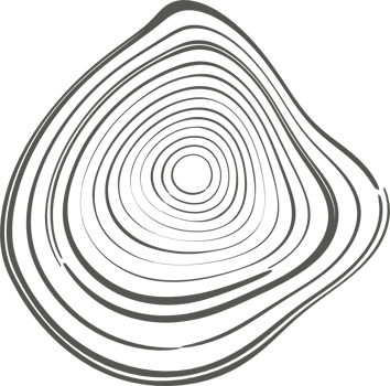 Tree rings organic pattern. Topography line circle. Nature wavy contour shape. Topographic icon png