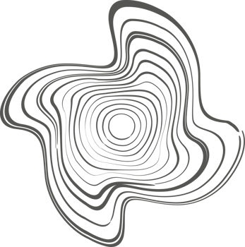 Tree rings organic pattern. Topography line circle. Nature wavy contour shape. Topographic icon png