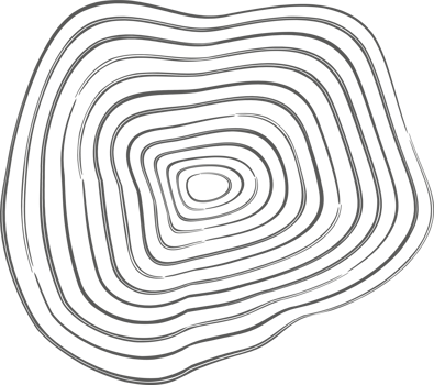 Tree rings organic pattern. Topography line circle. Nature wavy contour shape. Topographic icon png