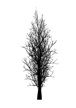 Dead trees isolated on a white background, black silhouette of dry tree without leaf vector
