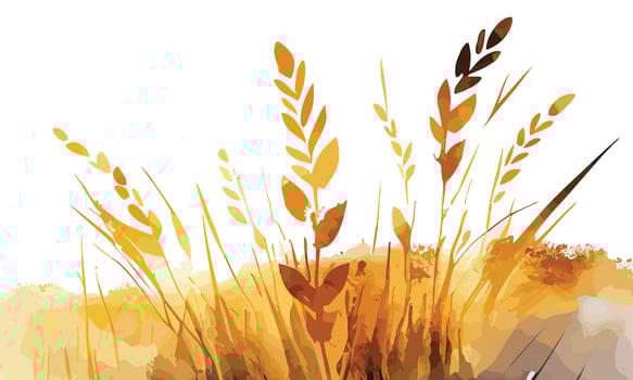 watercolor golden fields with crops illustration design vector