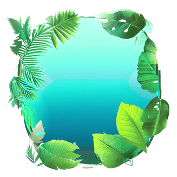leaf tropical badge illustration png