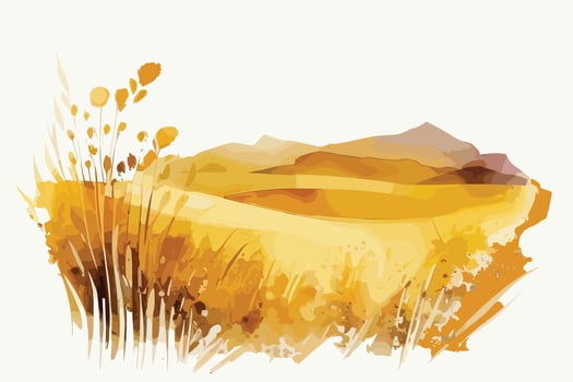 watercolor golden fields with crops illustration design vector