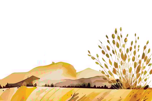 watercolor golden fields with crops illustration design vector