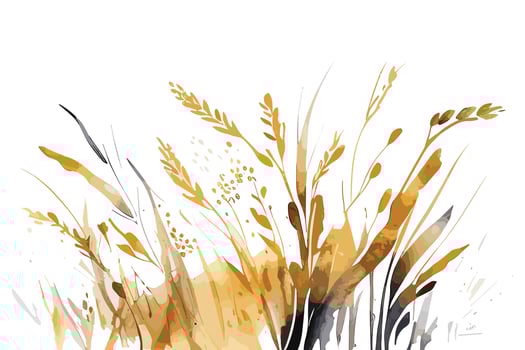 watercolor golden fields with crops illustration design vector