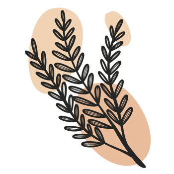 Line Art Leaf png