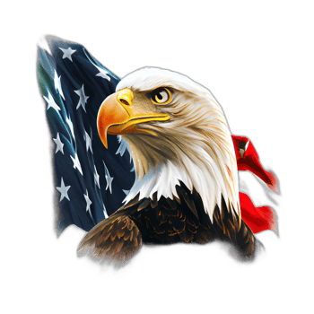 American patriotic eagle, illustration, artwork, patriot eagles, transparent background, t-shirt tshirt design, png