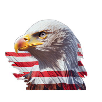 American patriotic eagle, illustration, artwork, patriot eagles, transparent background, t-shirt tshirt design, png