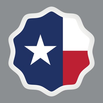 Vector Image Of A Sticker With Flag Of Texas
