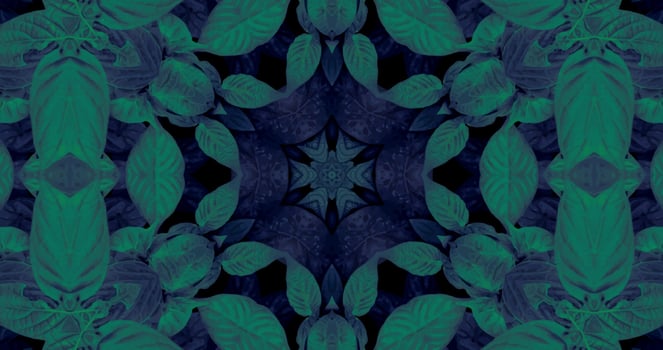4K Mandala Background. Animation of geometric ethnic patterns. Arabic illustration ornaments. Background Kaleidoscope Abstract. Suitable for wallpaper, wall posters. vector