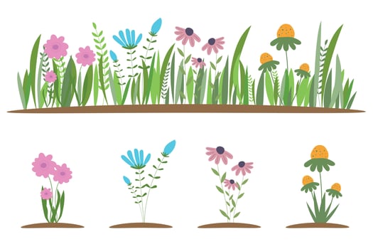 Collection of beautiful wild herbs, herbaceous flowering plants, blooming flowers, shrubs and subshrubs isolated on white background. Hand drawn detailed botanical vector illustration.