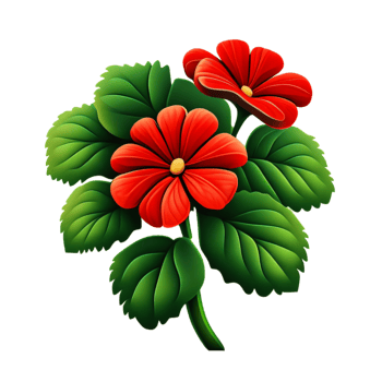 geraniums flower illustration png