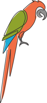 Single continuous line drawing of cute adorable parrot bird with long tail for logo identity. Wing feather animal mascot concept for national zoo icon. One line draw graphic design vector illustration png