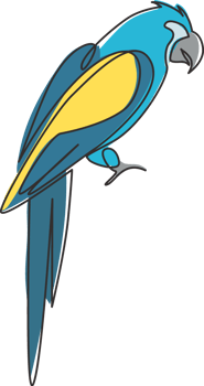 Single continuous line drawing of smart funny parrot bird for company logo identity. Flying animal mascot concept for pet lover club icon. Modern one line draw design vector graphic illustration png