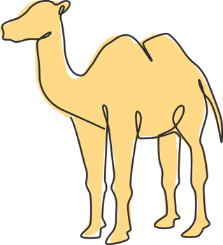 One continuous line drawing of Arabian desert camel for livestock business logo identity. Dromedary animal concept for middle east countries zoo icon. Single line draw design illustration png