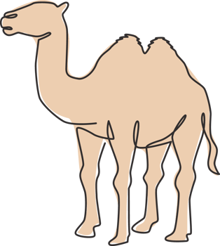 One single line drawing of desert Arabian camel for logo identity. Cute mammal animal concept for livestock husbandry icon. Trendy continuous line draw design graphic vector illustration png