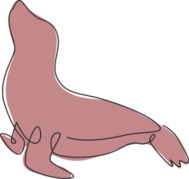One single line drawing of adorable sea lion for aquatic park logo identity. Cute creature mammal animal mascot concept for circus show. Continuous line draw design graphic illustration png