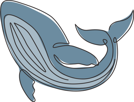 One single line drawing of big whale fish for company logo identity. Giant creature mammal animal mascot concept for conservation foundation. Continuous line draw graphic design vector illustration png