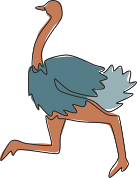 One single line drawing of giant running ostrich for logo identity. Flightless bird mascot concept for safari park icon. Modern continuous line draw design vector graphic illustration png