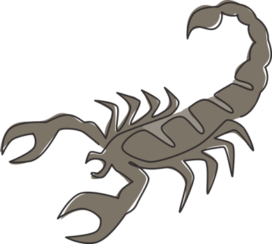 One single line drawing of venomous scorpion for logo identity. Dangerous insect mascot concept for pet lover club icon. Continuous line draw design graphic vector illustration png