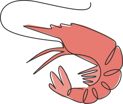 One continuous line drawing of fresh shrimp for seafood logo identity. Prawn mascot concept for Chinese restaurant icon. Single line draw design graphic vector illustration png