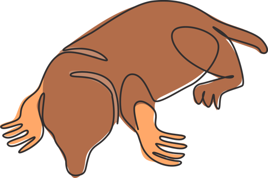 Single continuous line drawing of adorable lawn mole for logo identity. Rodent small mammal animal mascot concept for pest control icon. Modern one line draw design graphic vector illustration png