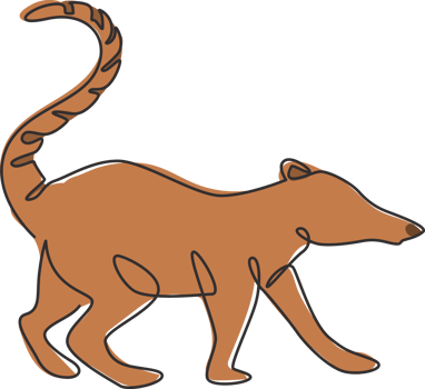 Single continuous line drawing of adorable coati for company logo identity. Ring tailed mammal animal mascot concept for national park icon. Modern one line draw design vector graphic illustration png