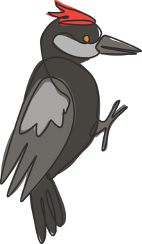 One single line drawing of adorable woodpecker for company logo identity. Cute bird mascot concept for national conservation park icon. Modern continuous line draw design vector graphic illustration png