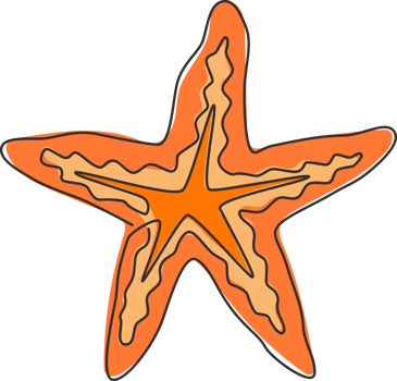 One single line drawing of beauty sea star for logo identity. Starfish mascot concept for asteroidea animal icon. Modern continuous line draw design vector illustration png