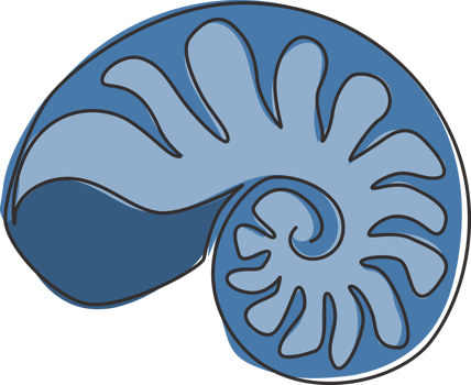 Single continuous line drawing beauty sea snail shell for nautical logo identity. Seashell mascot concept for beach conservation icon. Modern one line draw design vector illustration png