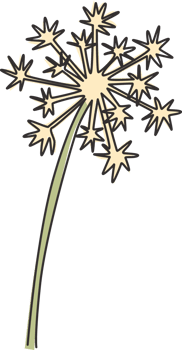 One single line drawing beauty fresh taraxacum for home art wall decor poster print. Printable decorative dandelion flower for greeting card ornament. Continuous line draw design vector illustration png