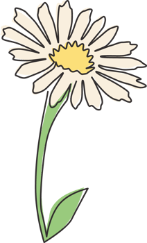 Single continuous line drawing of beauty fresh bellis perennis for home wall decor poster art. Printable decorative common daisy flower concept. Modern one line draw graphic design vector illustration png